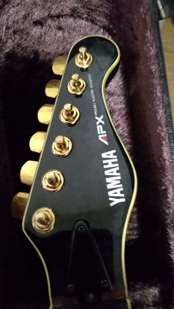 【訳アリお買い得】YAMAHA APX 10s 黒 オマケで純正ハードケース付き