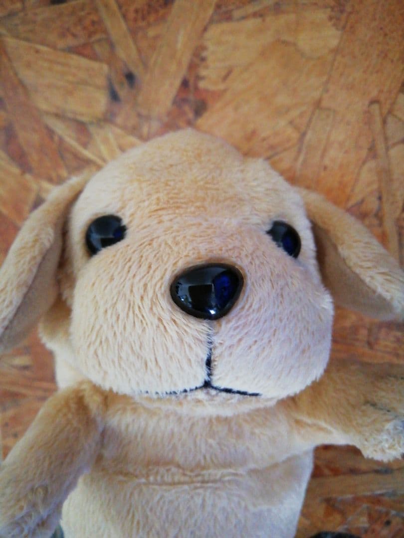 廃盤　こえマネわんちゃん　美品