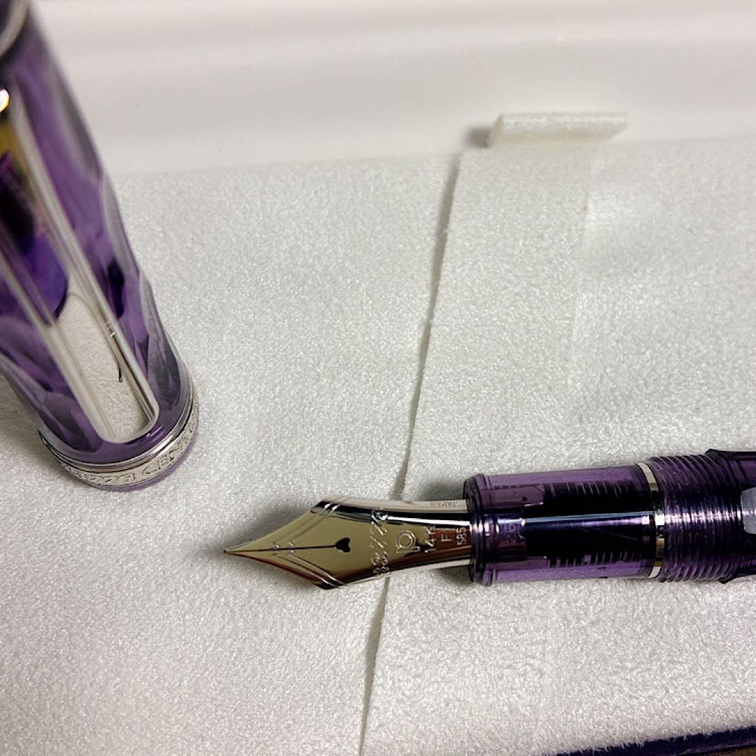 F プラチナ万年筆 紫雲 #3776 センチュリー