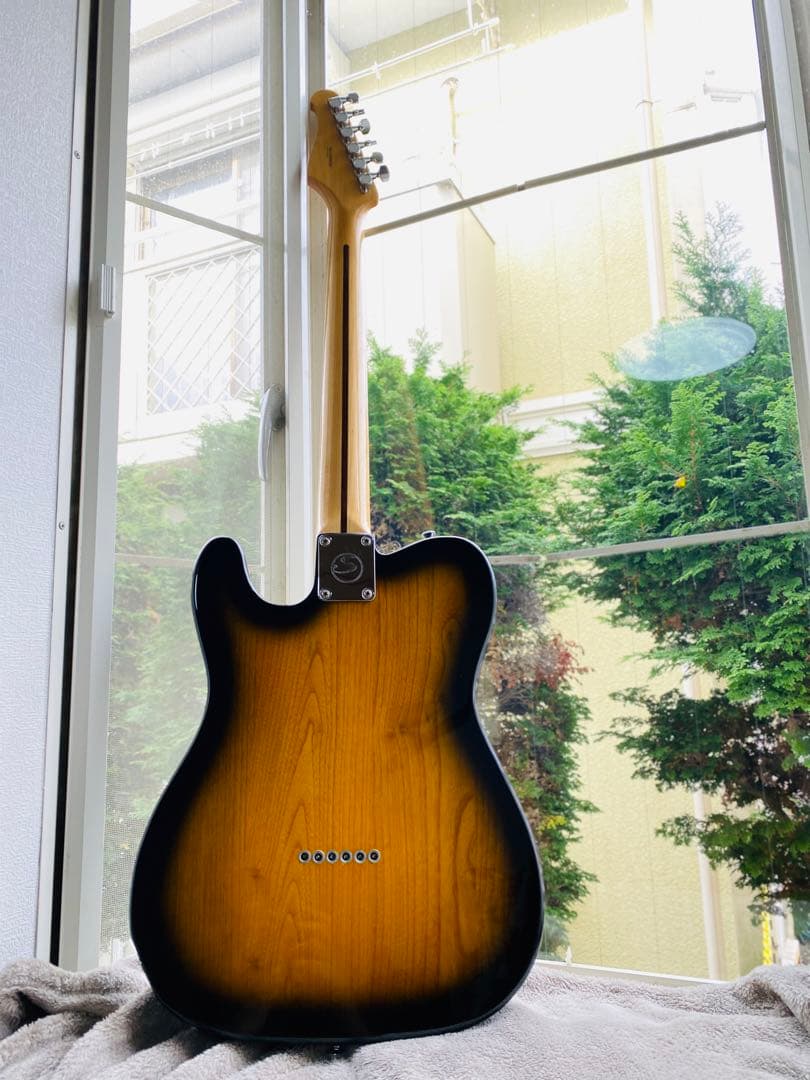 ギターSelva Telecastder