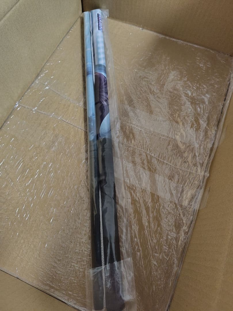 廃村少女弐 廃村少女2 エスクード タペストリー 本体 DLカード 廃村少女