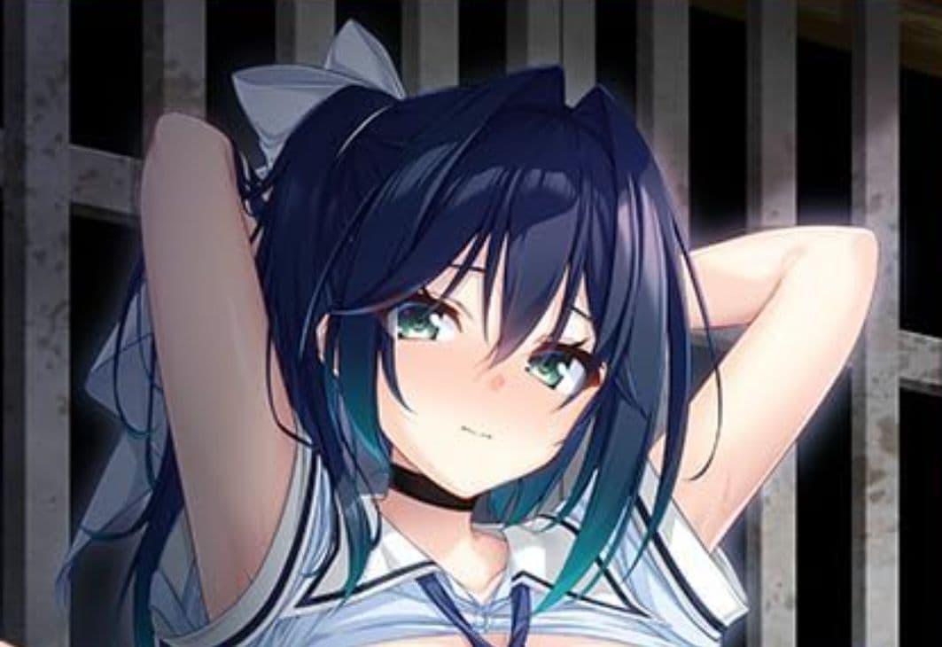 廃村少女弐 廃村少女2 エスクード タペストリー 本体 DLカード 廃村少女