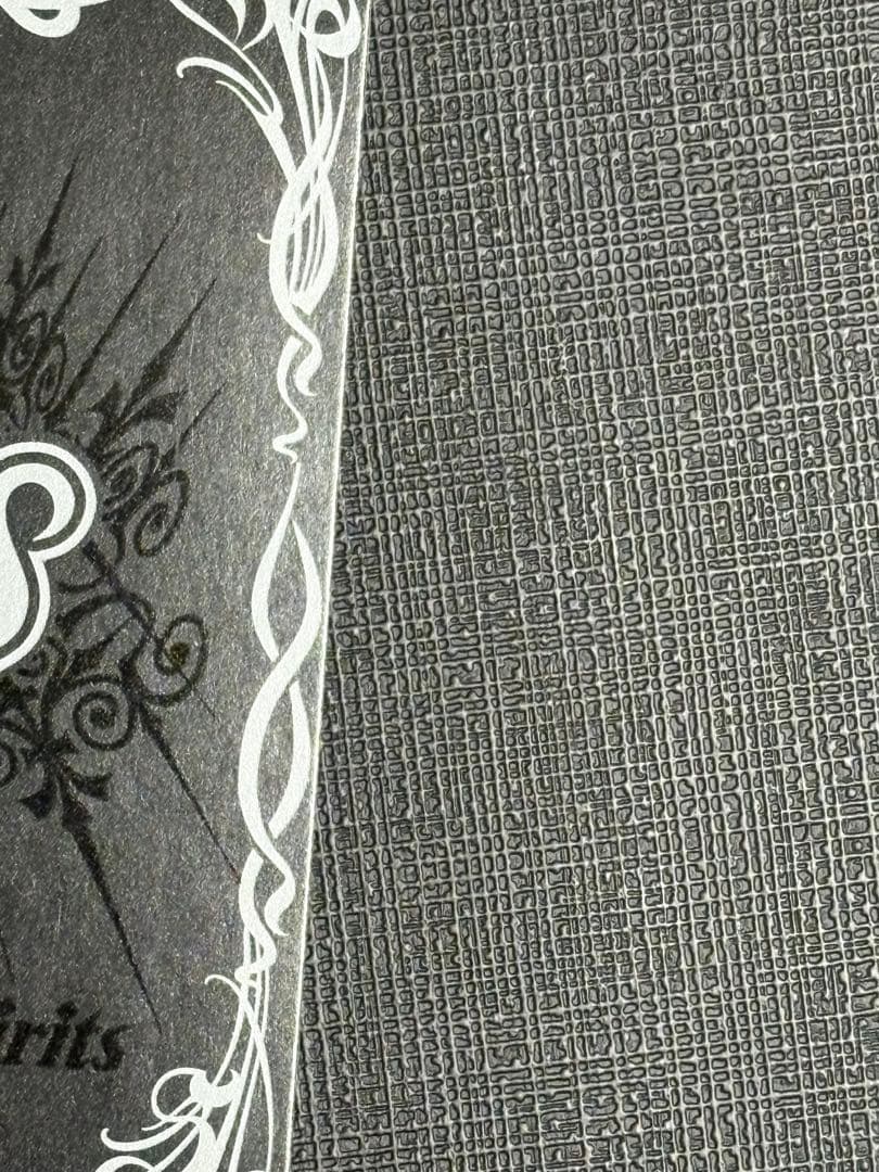 龍皇ジークフリード