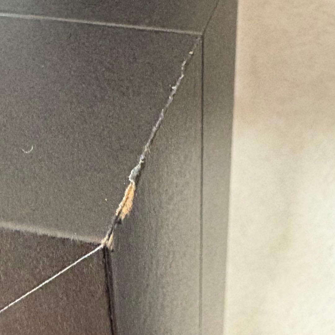 標本　フレーム　昆虫　植物　標本箱　シーラー