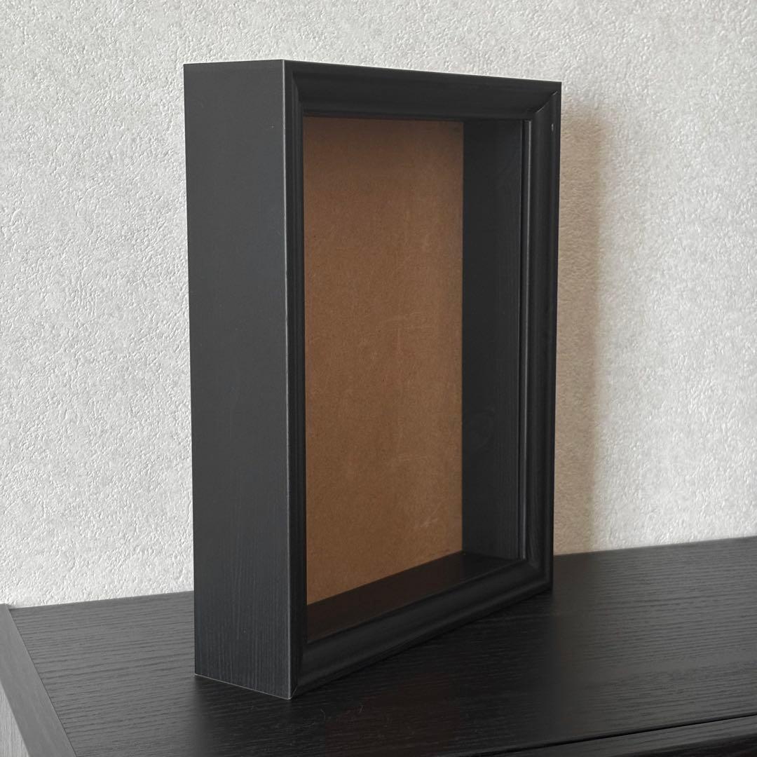 標本　フレーム　昆虫　植物　標本箱　シーラー