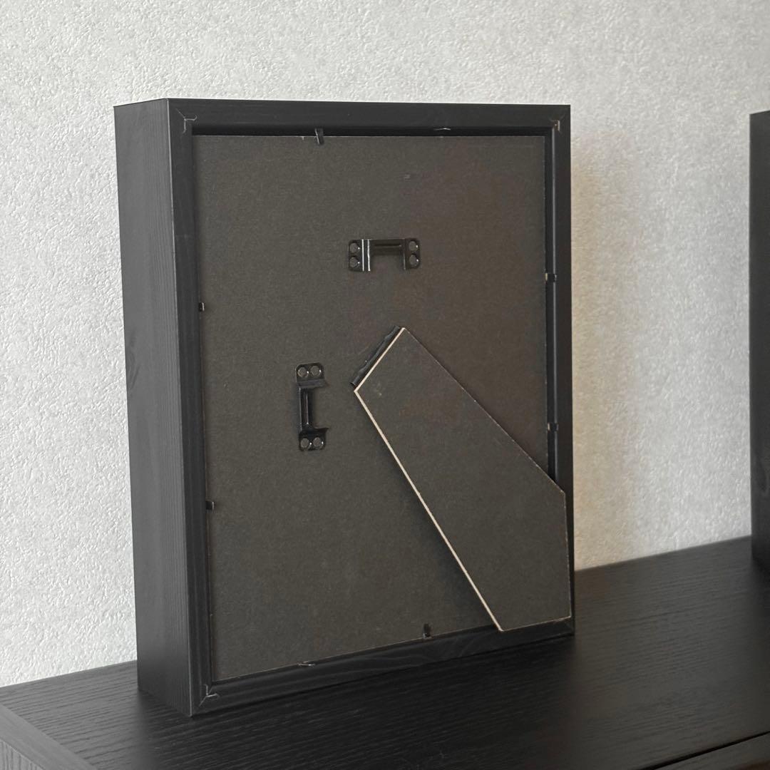 標本　フレーム　昆虫　植物　標本箱　シーラー