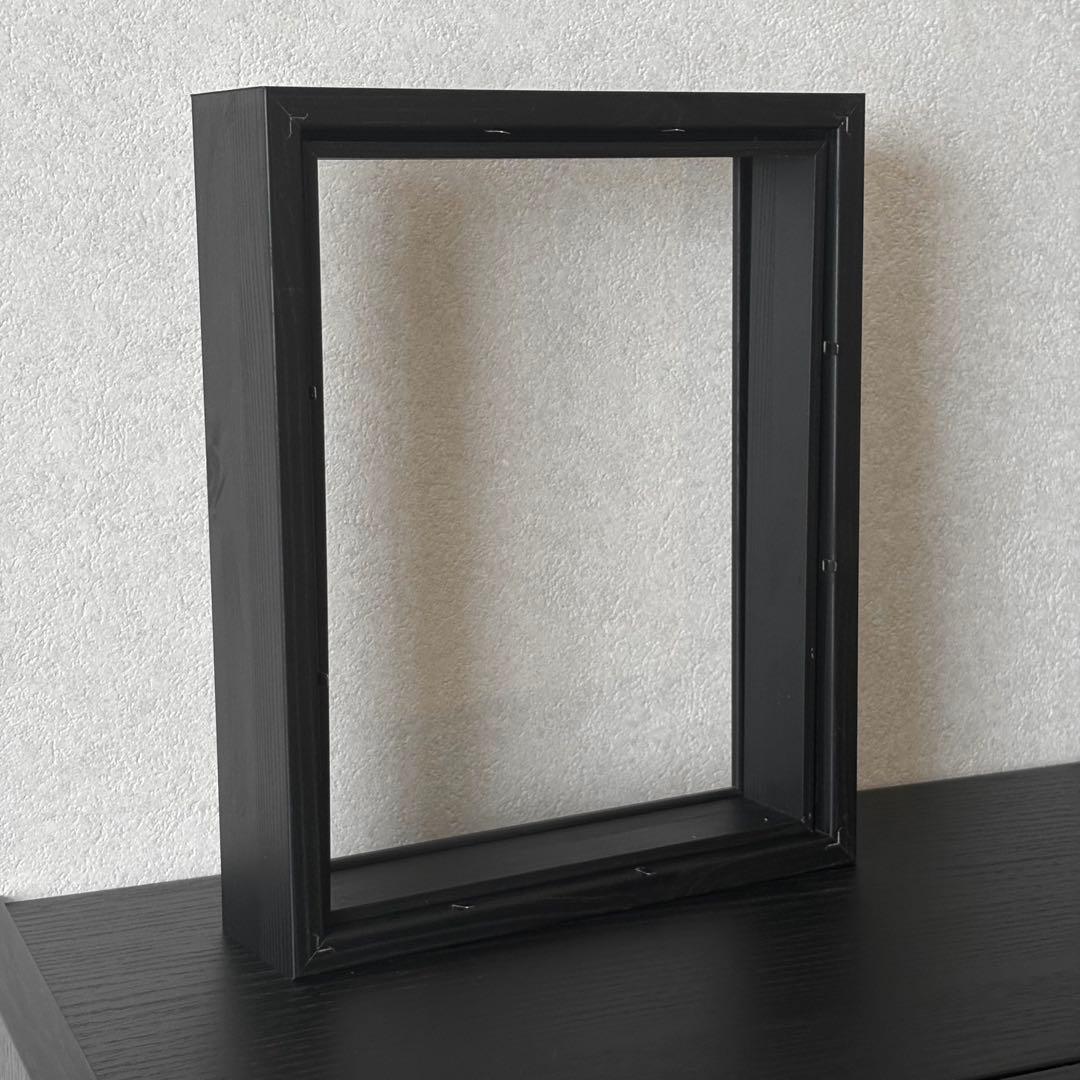 標本　フレーム　昆虫　植物　標本箱　シーラー