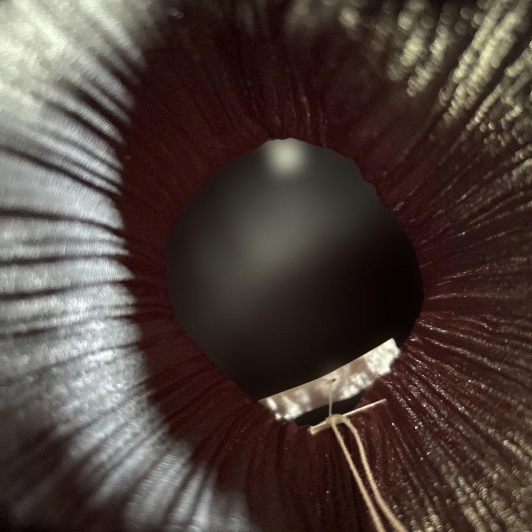 pleats please issey miyake 巾着バッグ