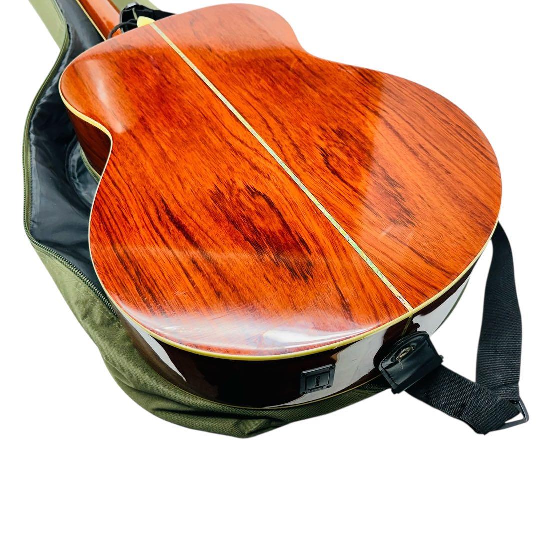 DAISY ROCK エレアコ　6280