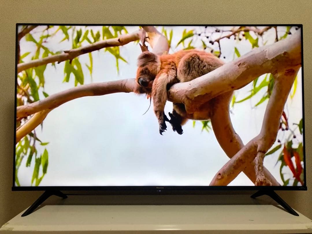 ハイセンス 50V型 液晶テレビ 4Kチューナー内蔵 50E6G 動画アプリ搭載