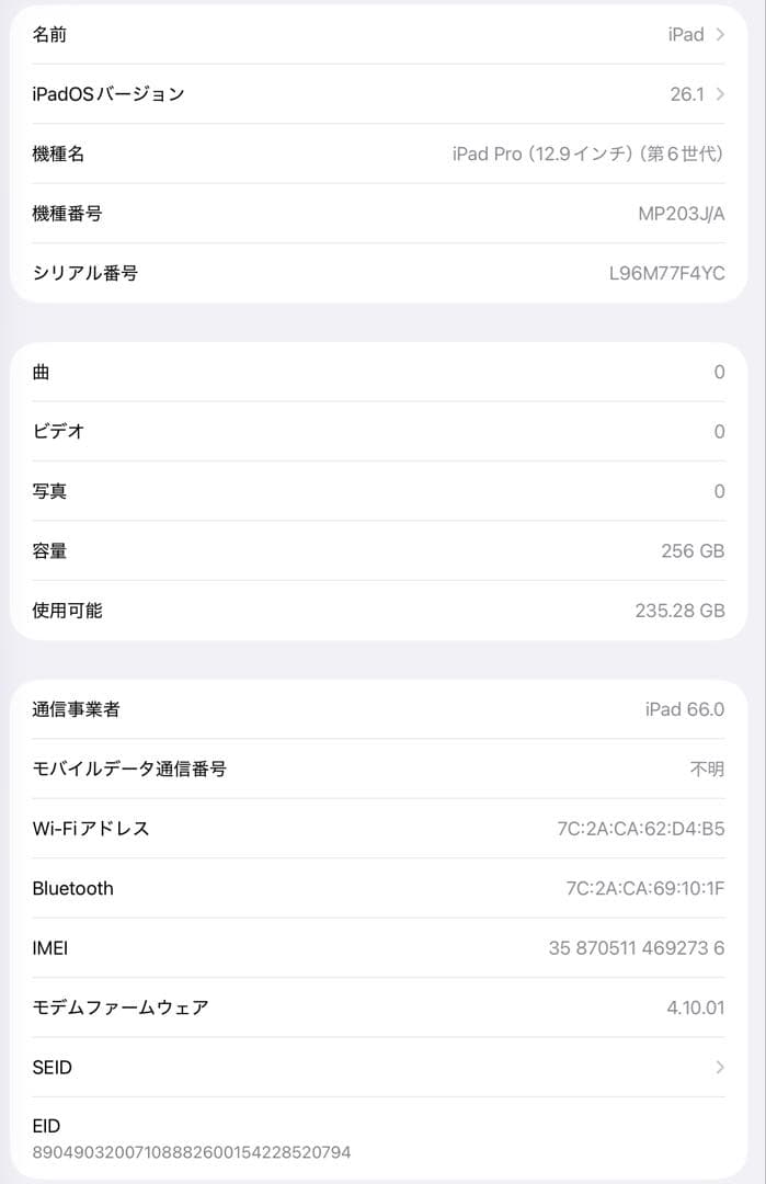 iPad Pro 12.9インチ 第6世代 256GB セルラー