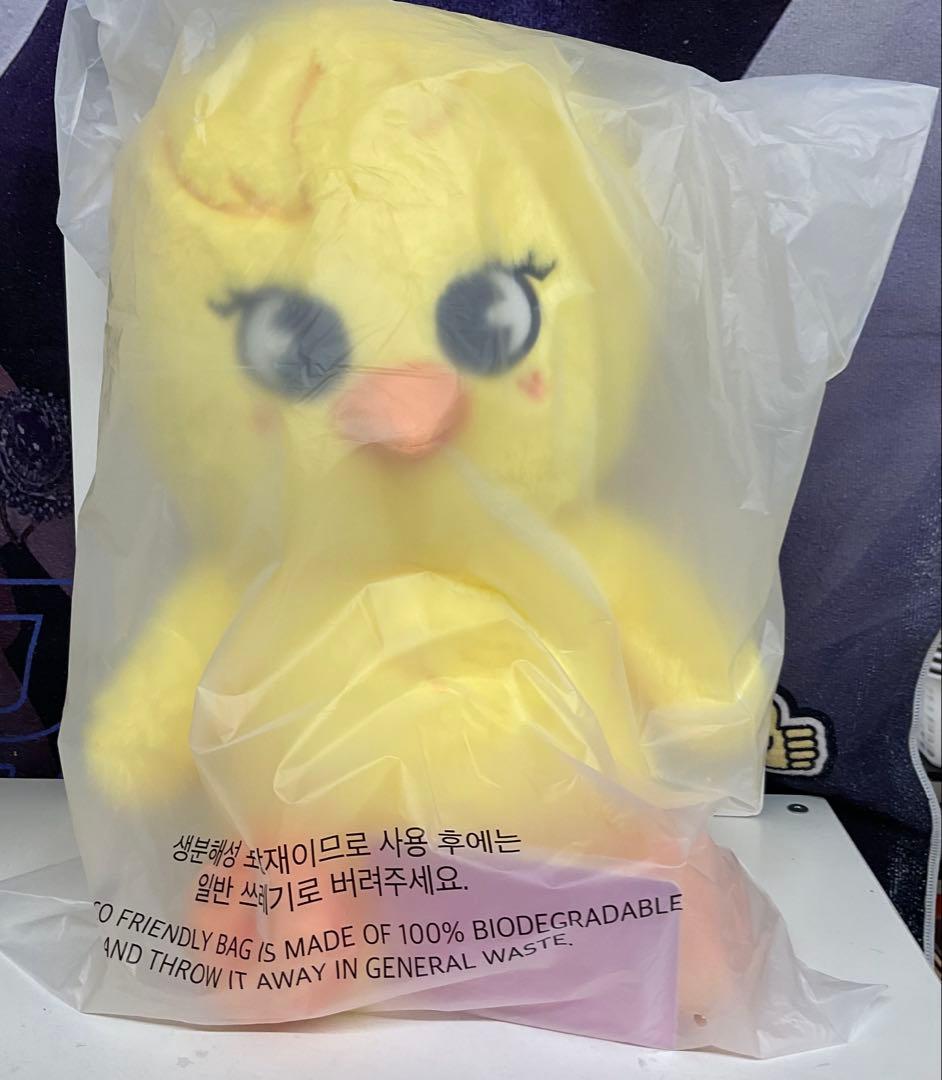 STRAYKIDS フィリックス テディベア人形 5'clock