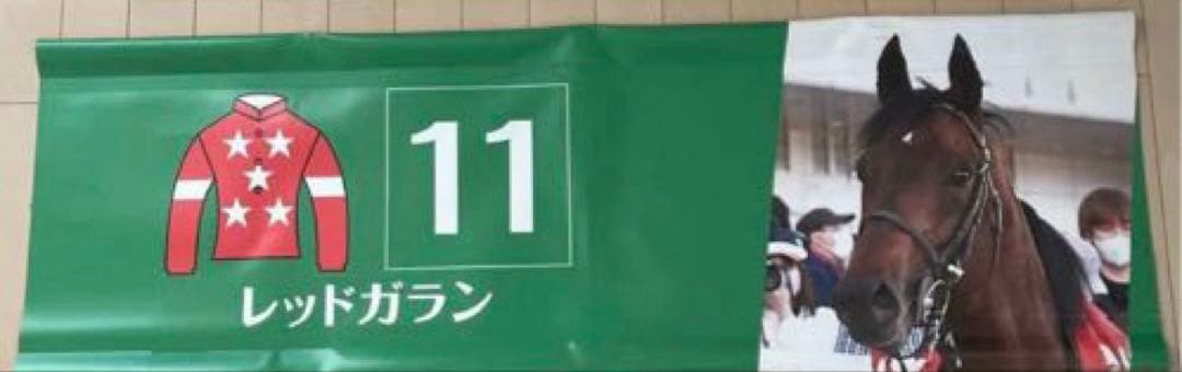 な³☆実際に使用!JRA 競馬バナー天皇賞秋　ポタジェレッドガロン（表裏）