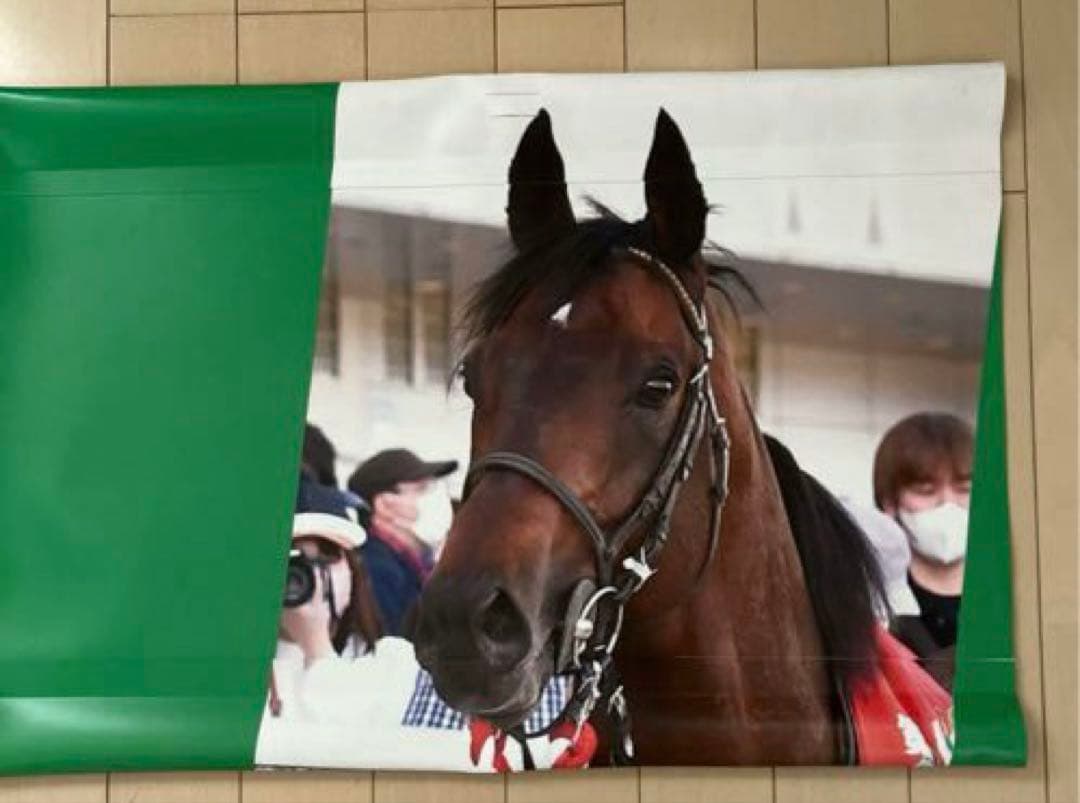 な³☆実際に使用!JRA 競馬バナー天皇賞秋　ポタジェレッドガロン（表裏）