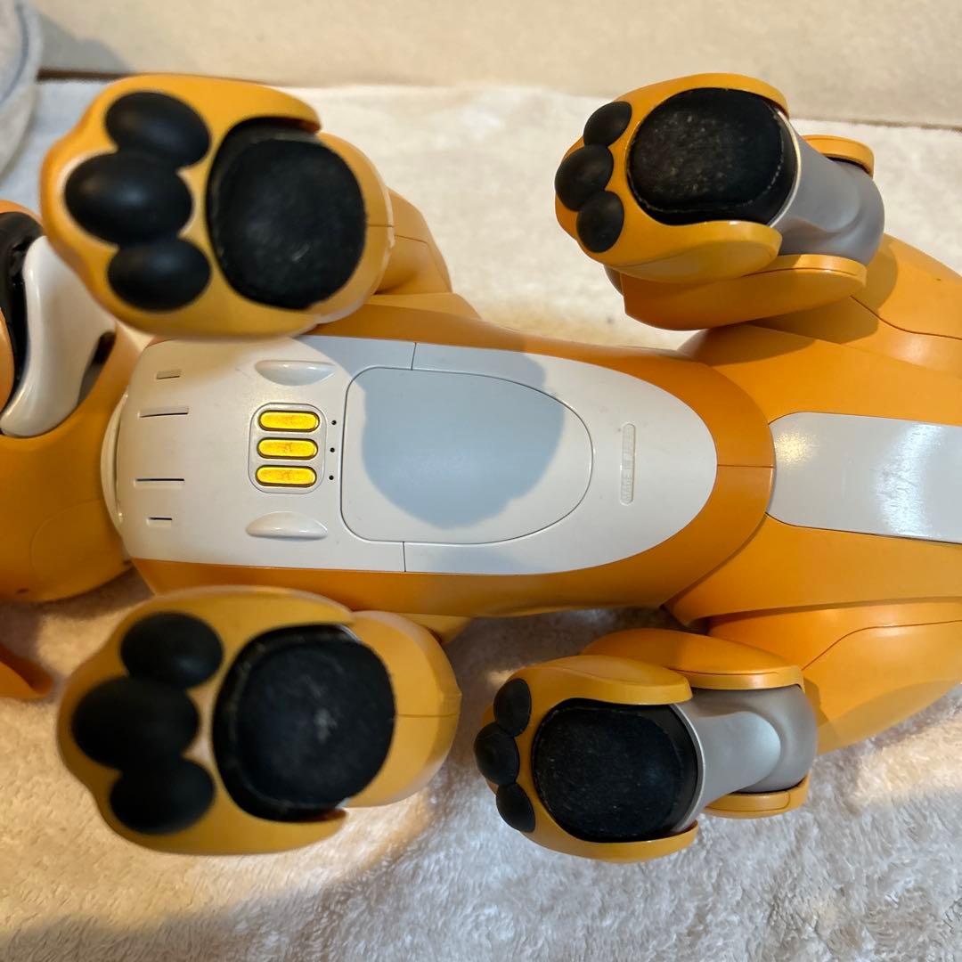 aibo キャラメル　くまさん専用