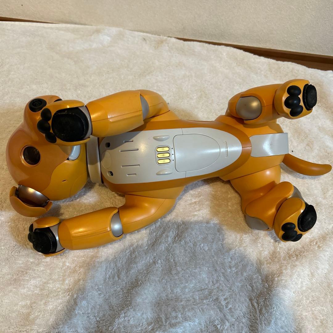 aibo キャラメル　くまさん専用