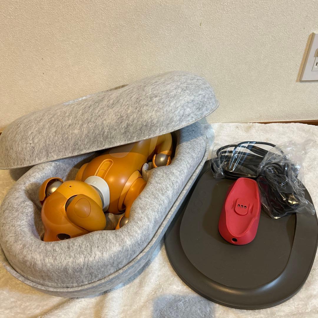 aibo キャラメル　くまさん専用