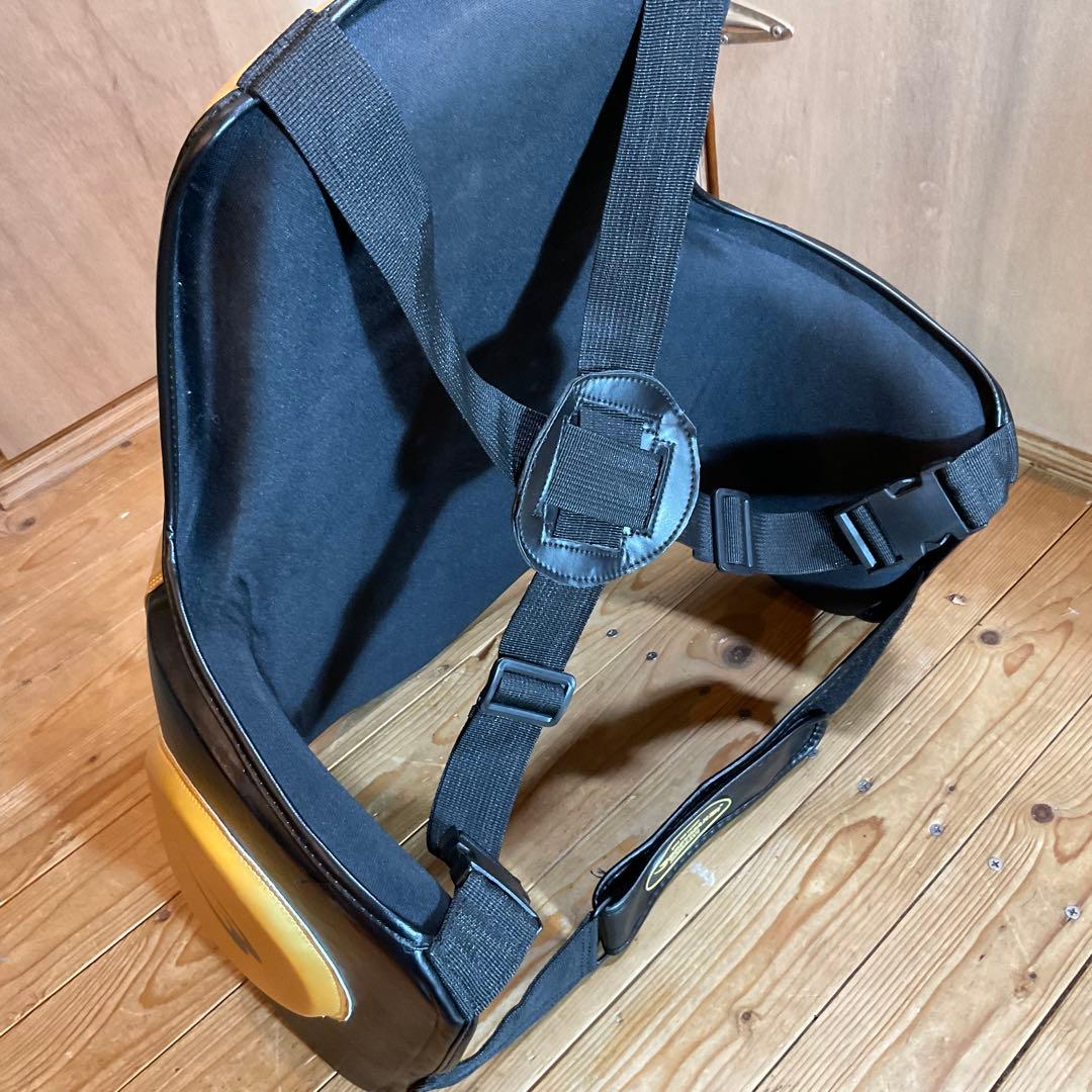 極美品！ボディメーカー プロテクター LIMITED MODEL フリーボディ