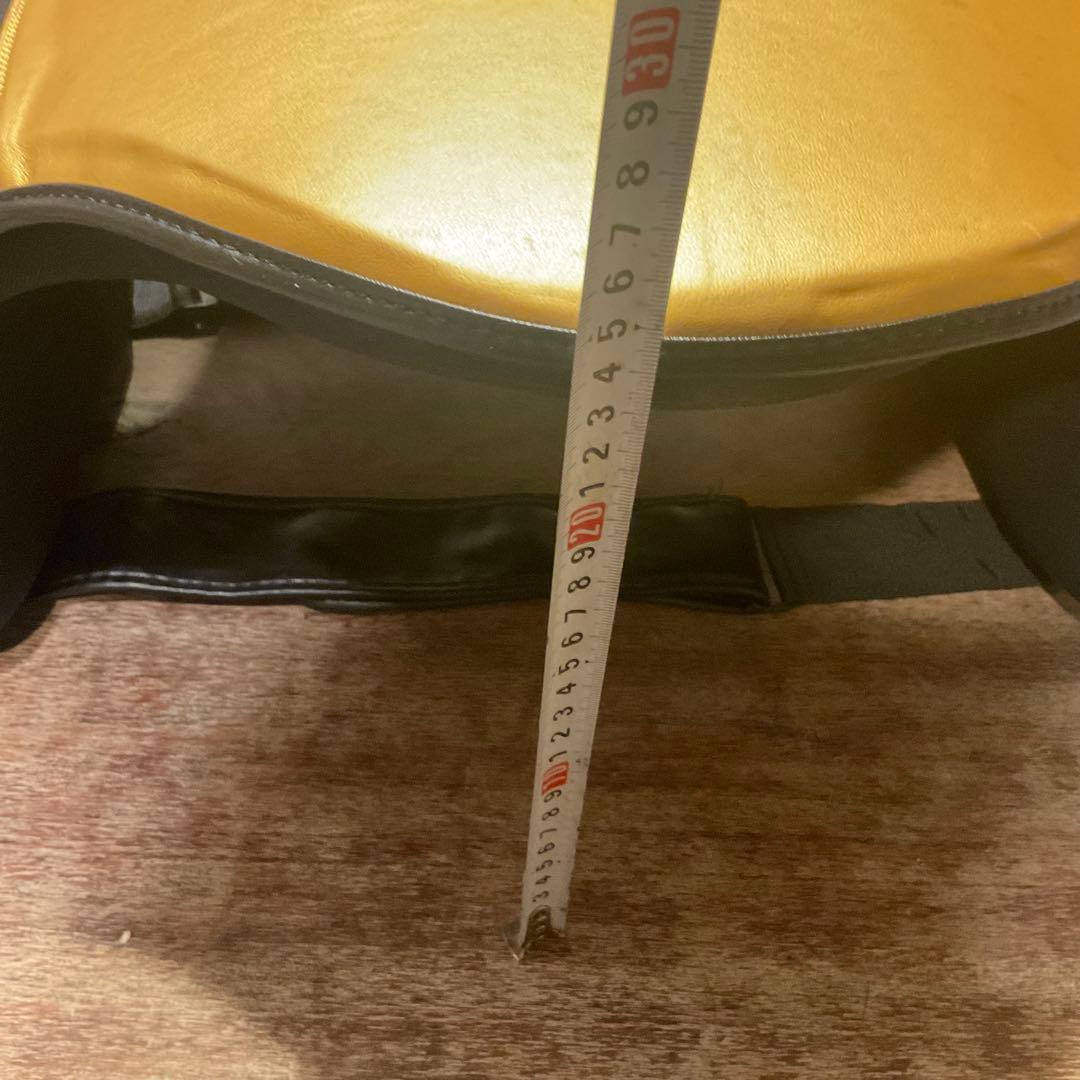 極美品！ボディメーカー プロテクター LIMITED MODEL フリーボディ