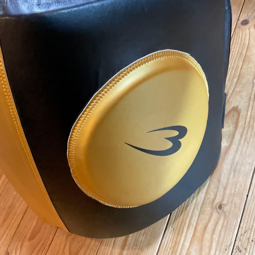 極美品！ボディメーカー プロテクター LIMITED MODEL フリーボディ