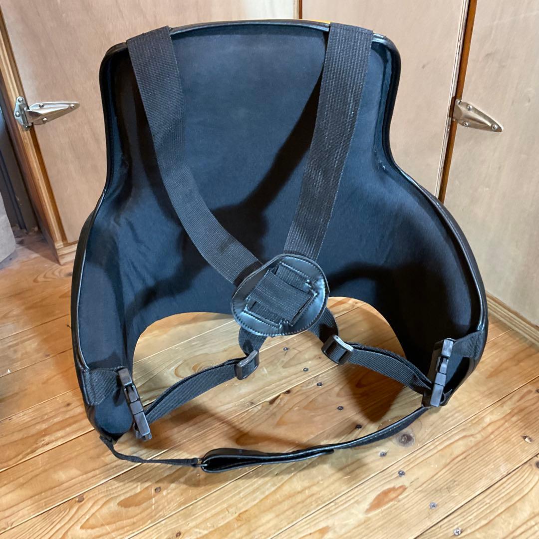 極美品！ボディメーカー プロテクター LIMITED MODEL フリーボディ