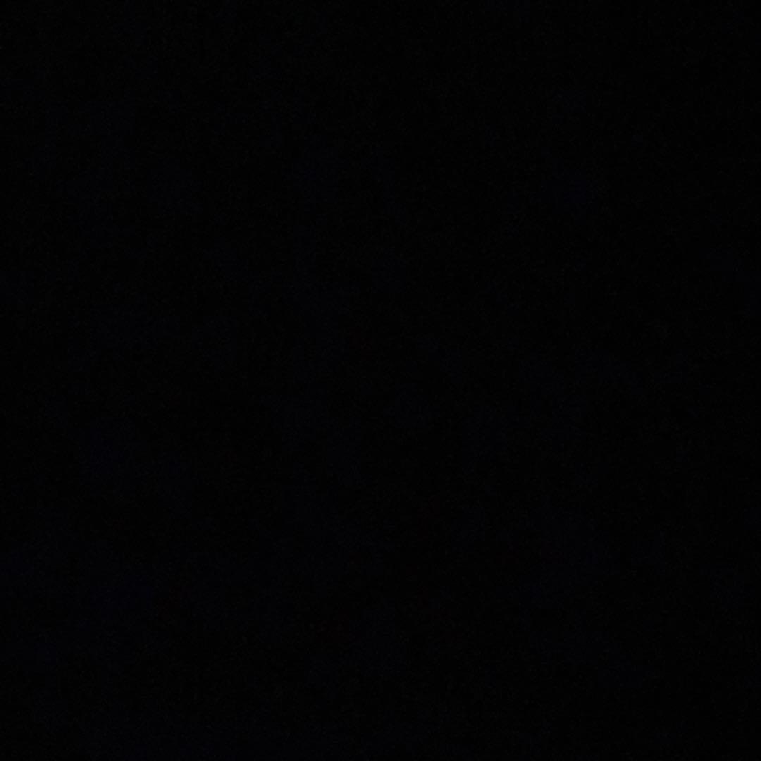 掃除機・クリーナー EC-LX600