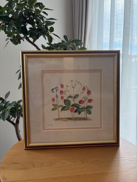 限定2000円OFF ロンドンV&A　フラワーアート　2点　額装＆マット付き