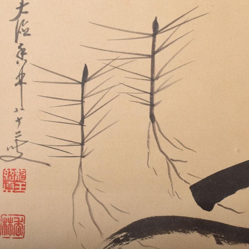 掛軸　前大徳　大橋香林筆　「寿に若松の図」　紫野　細合喝堂識箱　C　6852A