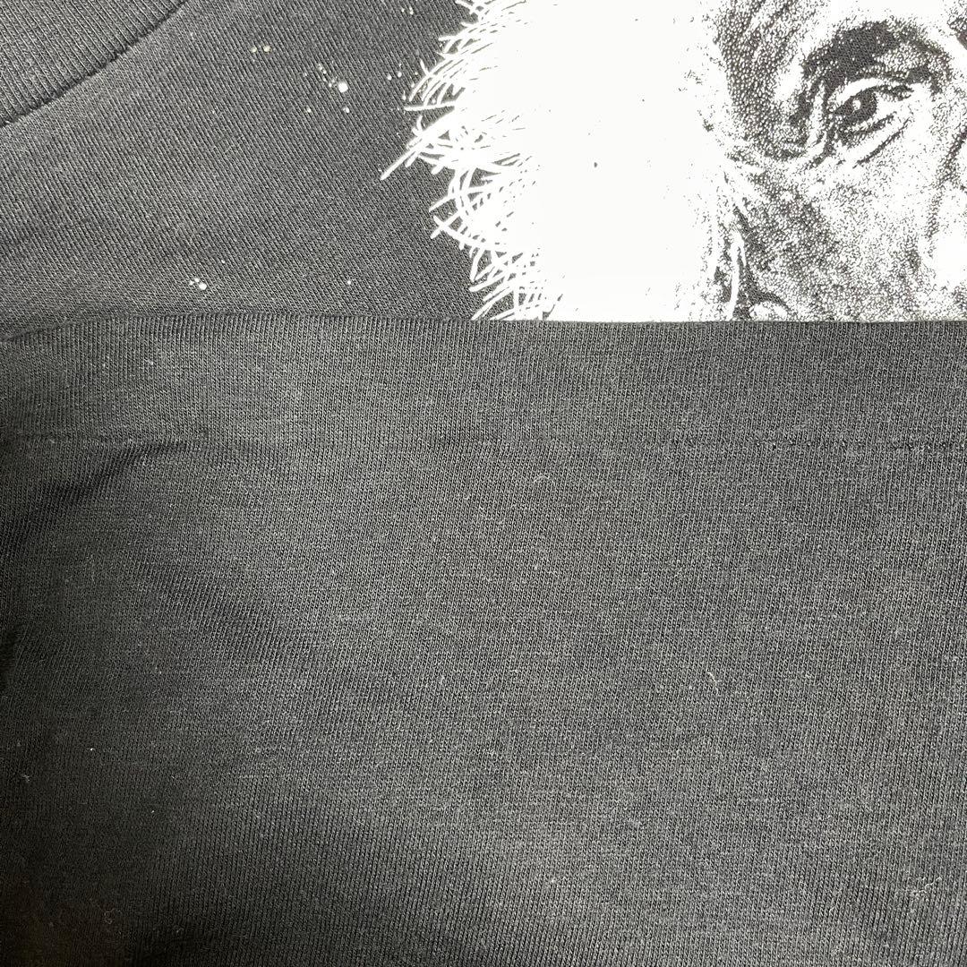 80s アインシュタイン　ヴィンテージT 偉人　アート　USA製　希少