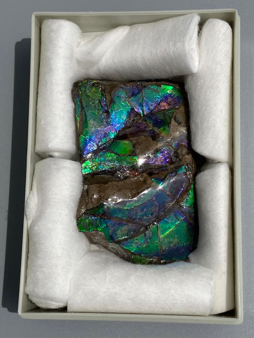 化石　原石　アンモライト　アンモナイト　幅7.7cm カナダ産　箱付き