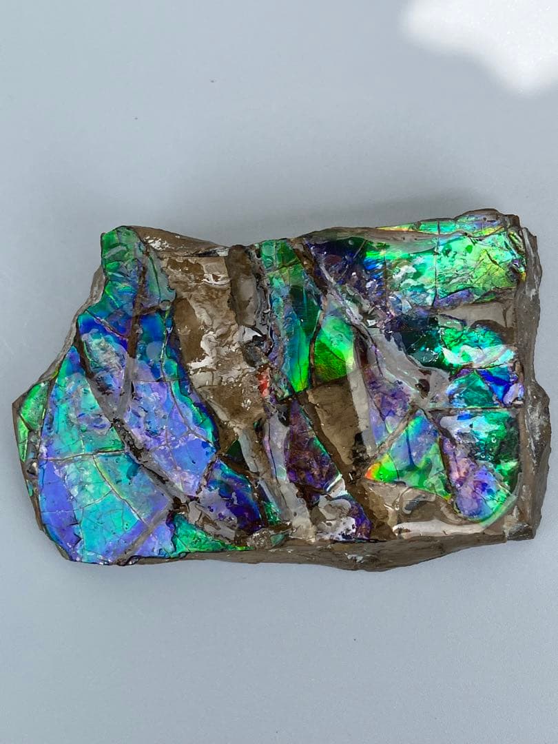 化石　原石　アンモライト　アンモナイト　幅7.7cm カナダ産　箱付き