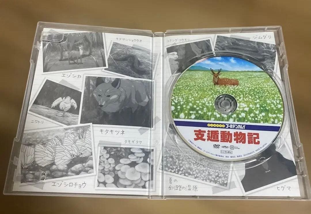 ゴールデンカムイ23巻アニメDVD同梱版 支遁動物記 野田サトル