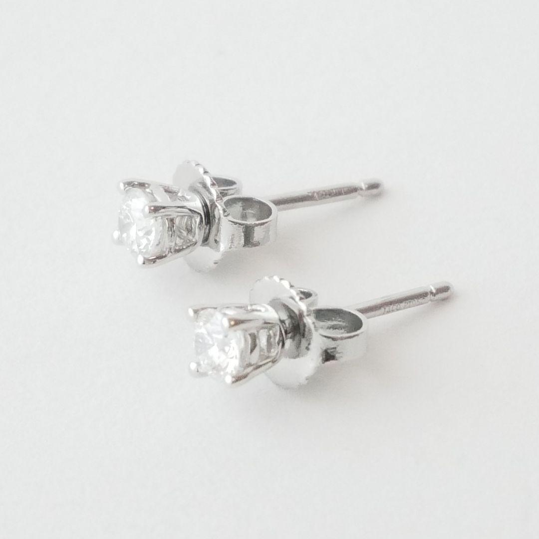 ふーちゃんです