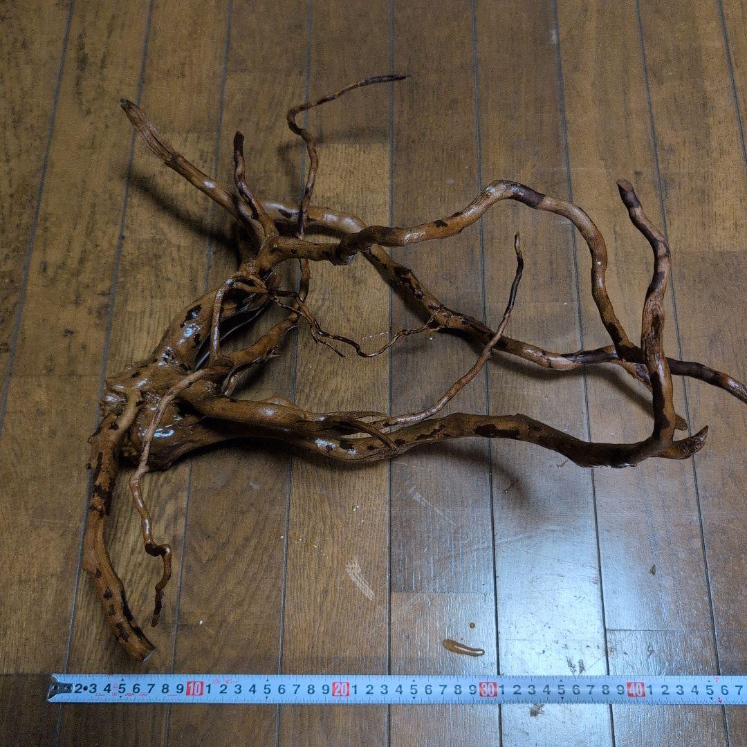 アクリル水槽　アクリルケージ