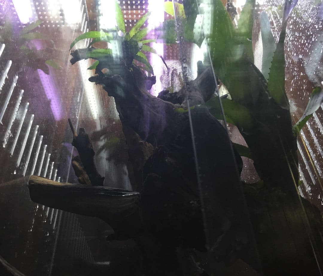 アクリル水槽　アクリルケージ