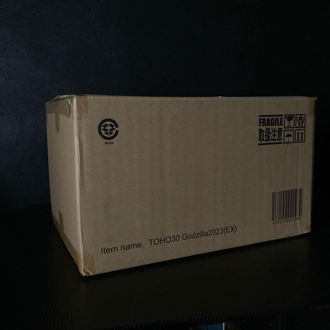 東宝30cmシリーズ　ゴジラ(2023)少年リック限定版【開封品】