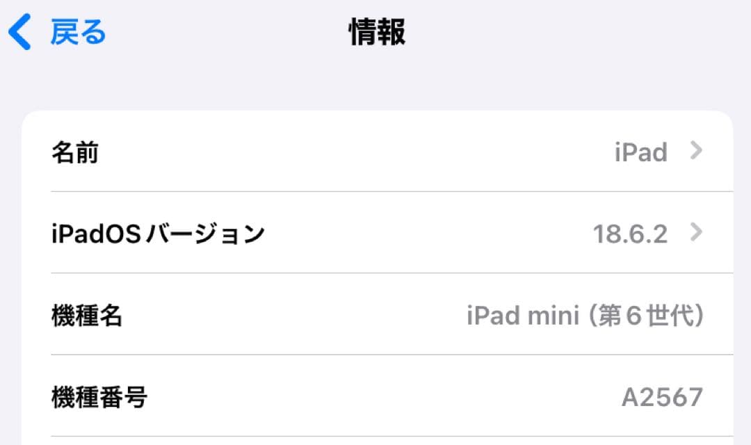 iPad mini 6(第6世代)WI-FIモデル256 GB A2567