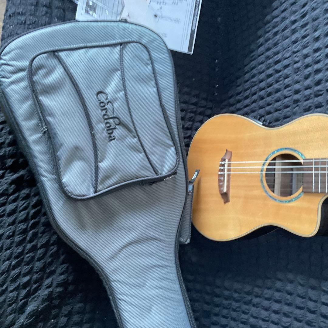 人気のコルドバギター(エレアコ　ミニ) レギュラーチューニング