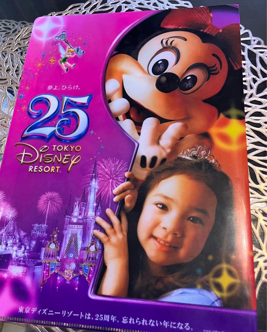 ディズニー⭐︎25周年限定⭐︎クリアファイル