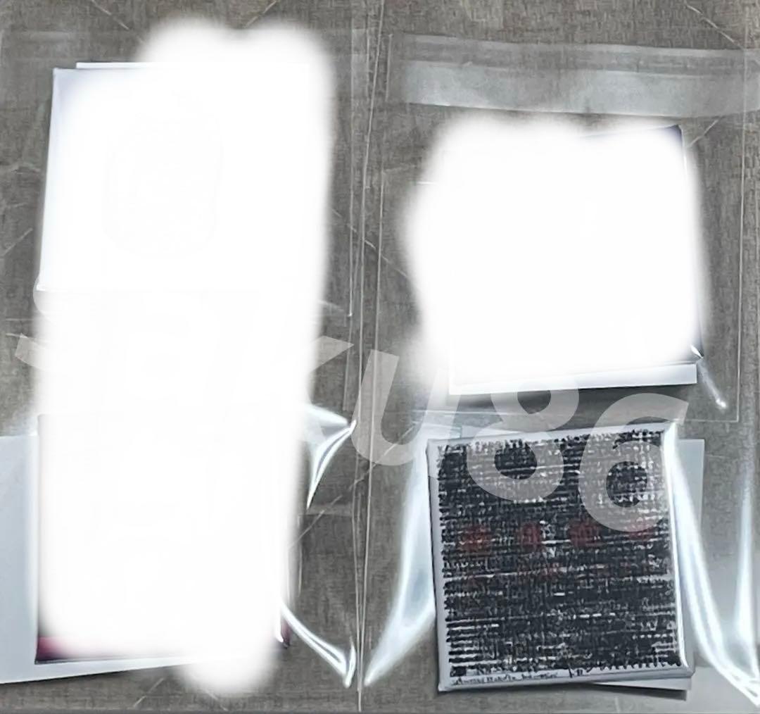 RADWIMPS ジャケット缶バッジ ビッグエコーコラボ　ラッドウィンプス