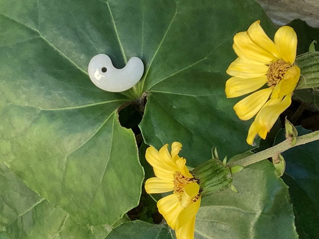 1点限り‼️本物ジェダイト糸魚川翡翠勾玉　氷の世界へアイスジェイド鑑定機関鑑別書付