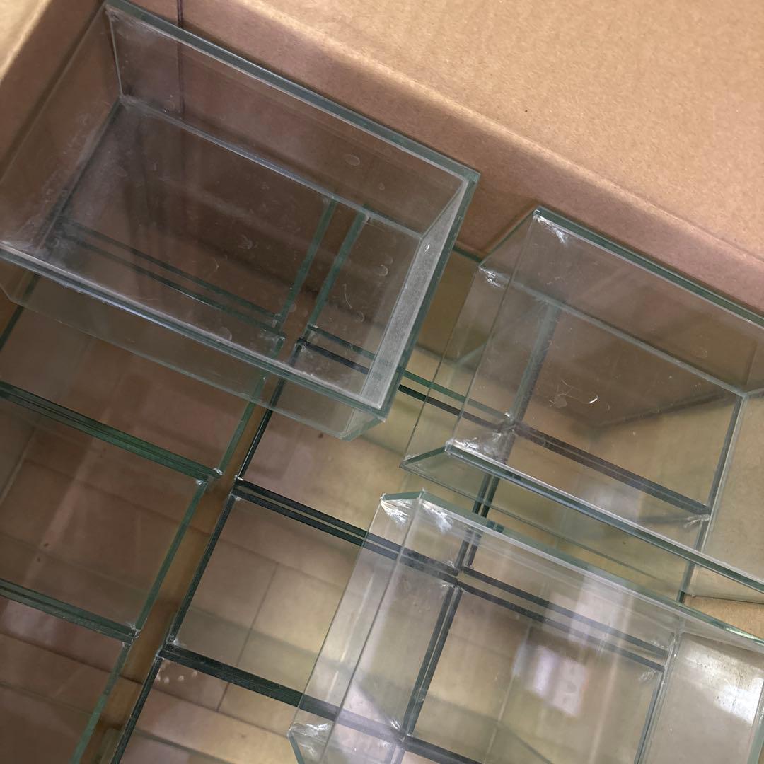 限定値引き　ベタコレクションケースS まとめ売り