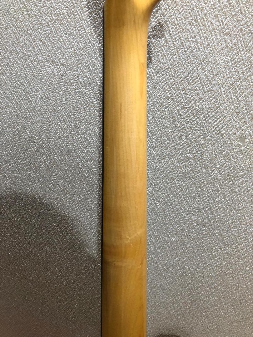 Bacchus BTE-350R テレキャスター