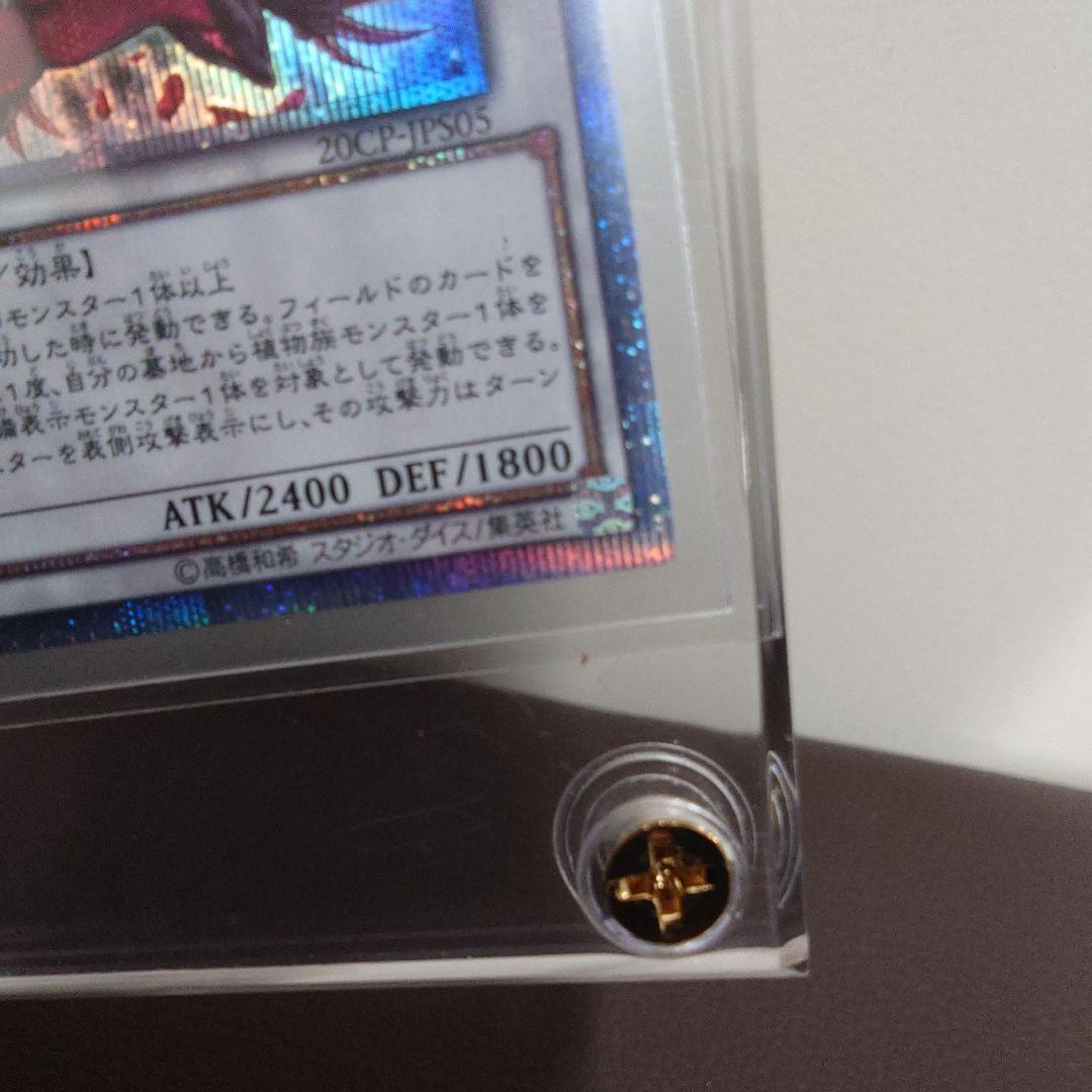 ブラック・ローズ・ドラゴン