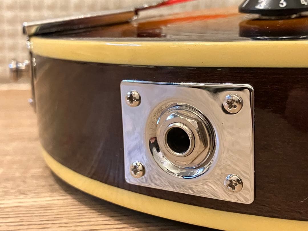 aria エレキマンドリン (Ritter ケース付き)