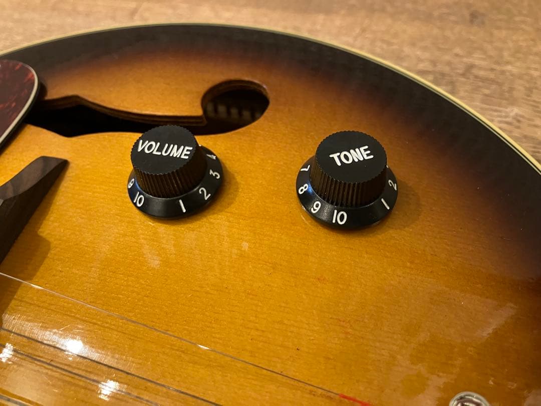 aria エレキマンドリン (Ritter ケース付き)