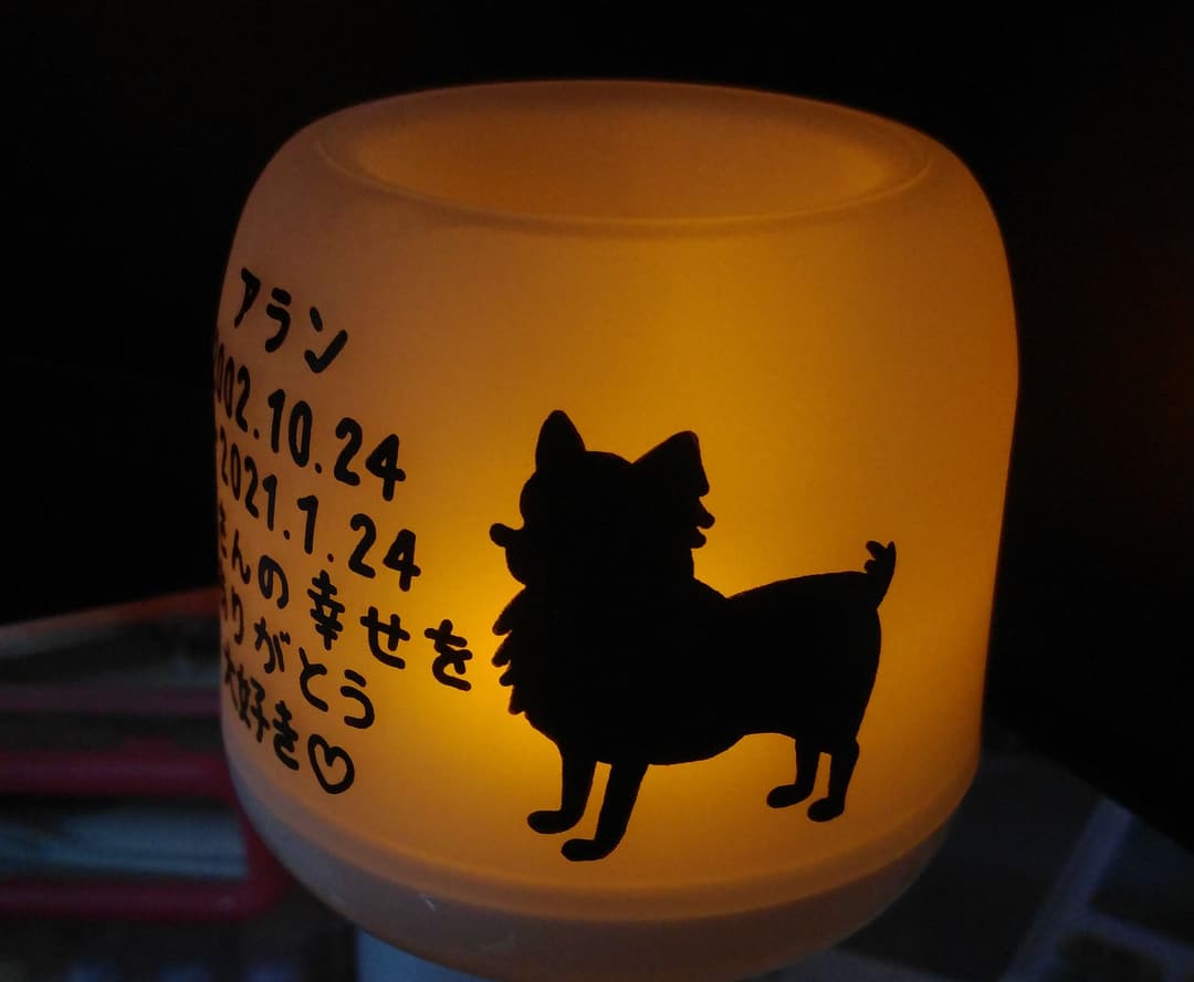 確認用♥タレテルゥ様♥