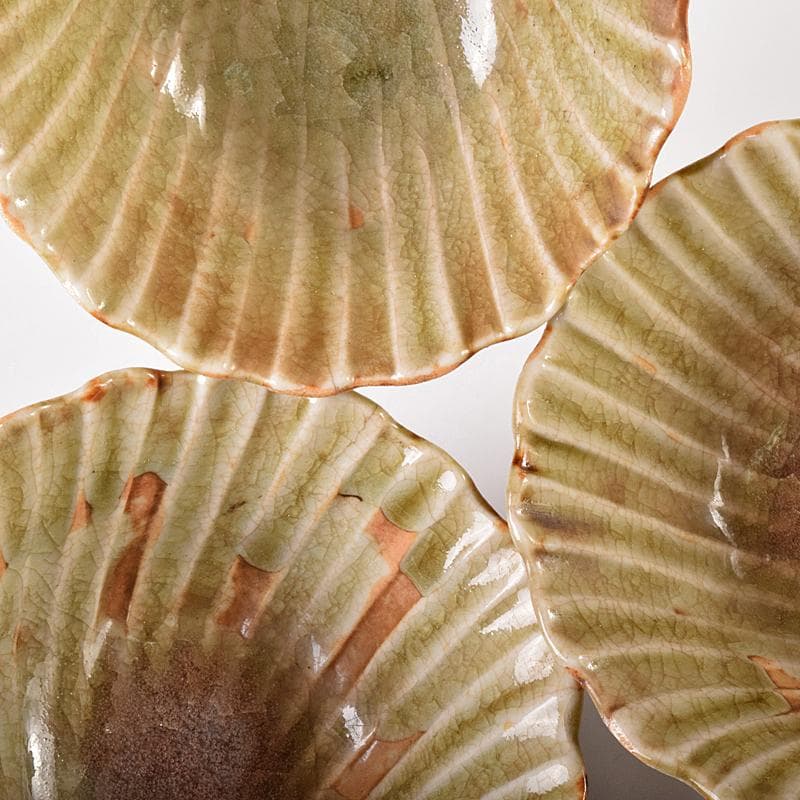 和食器　尾張　御深井焼焼　貝形向付　五客　時代箱付　M　R8097