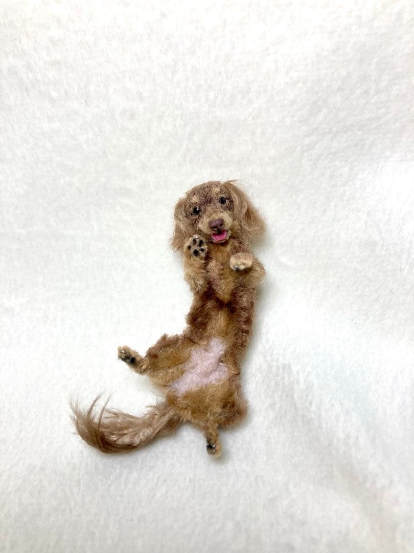 モールアート☆ミニダックス☆へそてん