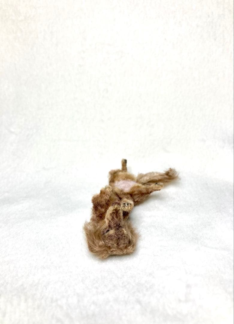 モールアート☆ミニダックス☆へそてん